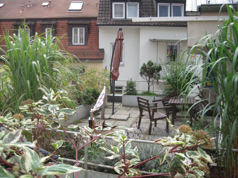 https://www.babelfish-hostel.de/media/Galeryrooms/009 double room studio.jpg